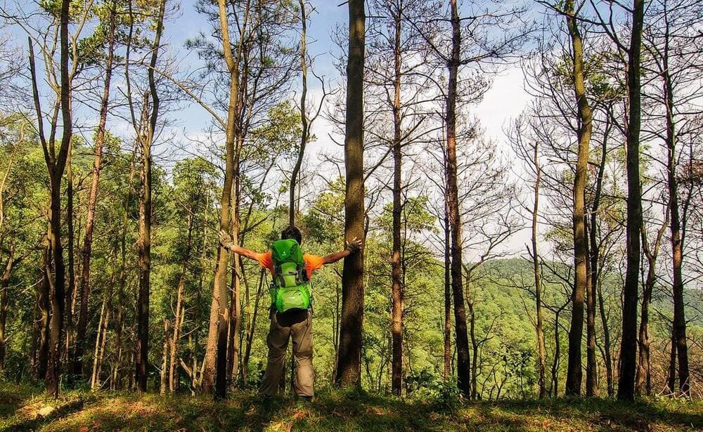 Du khách cũng có thể chọn trekking lên tới đỉnh núi để thử thách bản thân (Nguồn: Núi Hàm Lợn, Sóc Sơn, Hà Nội)